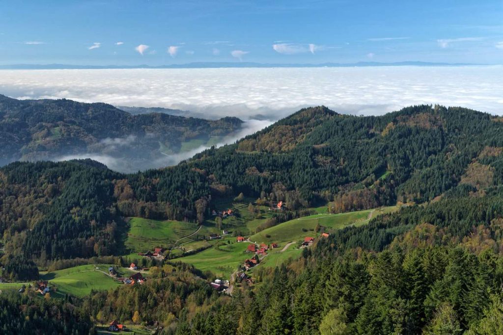 The black forest, Germany